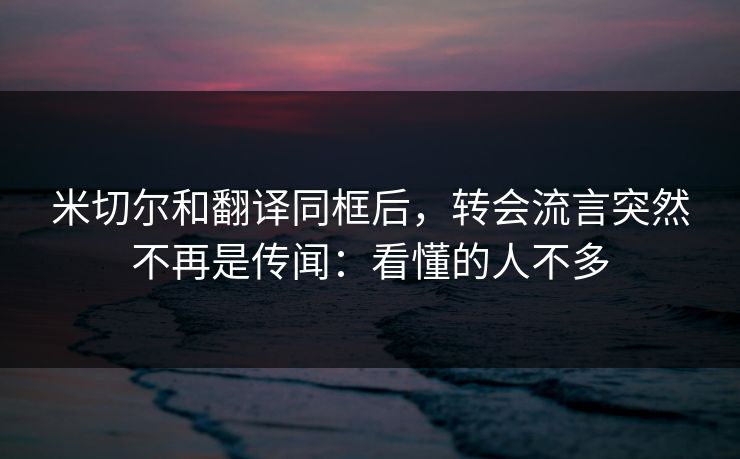 米切尔和翻译同框后，转会流言突然不再是传闻：看懂的人不多