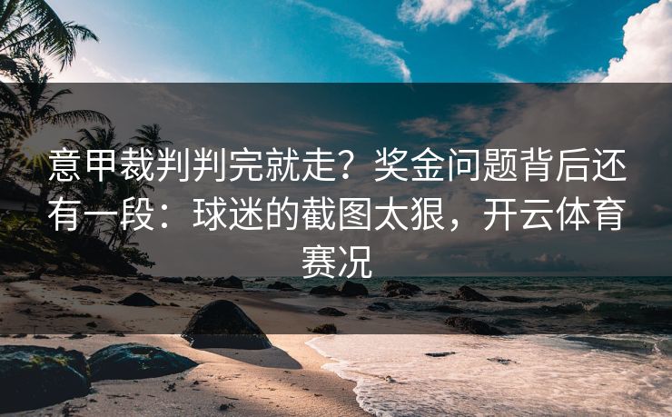 意甲裁判判完就走？奖金问题背后还有一段：球迷的截图太狠，开云体育赛况