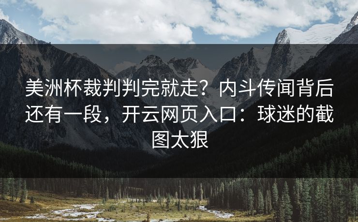 美洲杯裁判判完就走？内斗传闻背后还有一段，开云网页入口：球迷的截图太狠