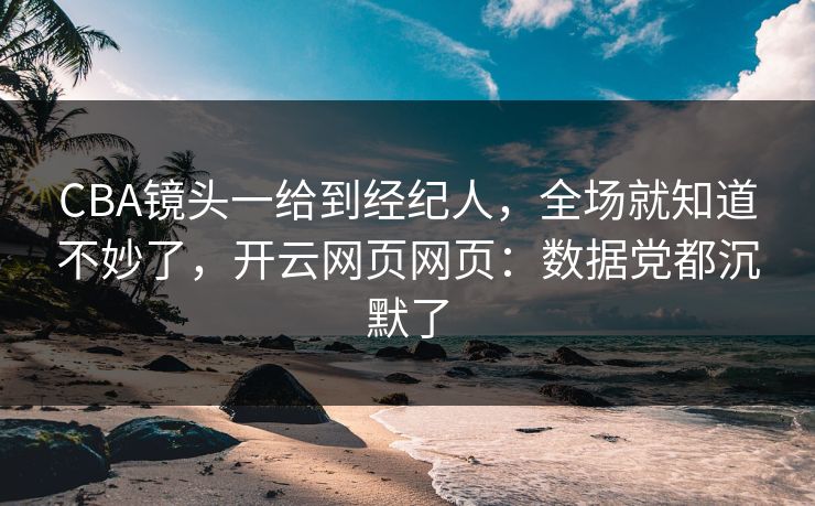 CBA镜头一给到经纪人，全场就知道不妙了，开云网页网页：数据党都沉默了